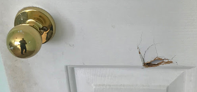 interior door hole repair Coronado